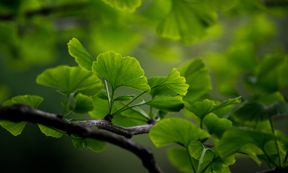 sustainability design
